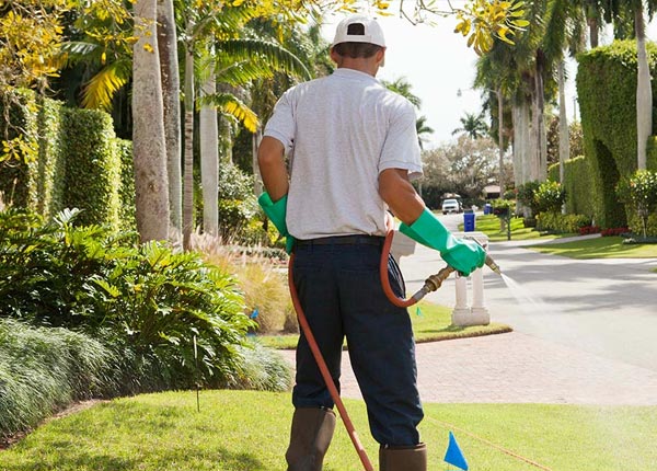 About Bloomingdale GA Pest Control Pros